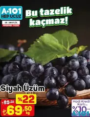 SİYAH ÜZÜM KG SİYAH ÜZÜM KG